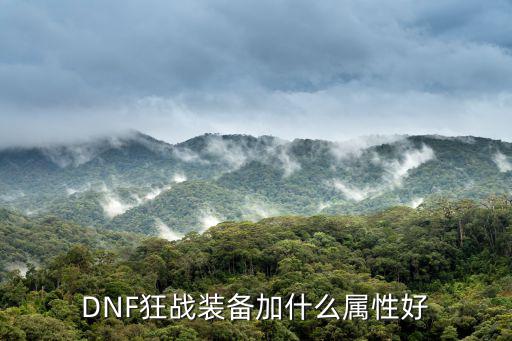 DNF狂战装备加什么属性好