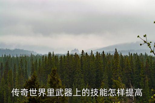 传奇游戏装备怎么用技能，传奇世界里武器上的技能怎样提高