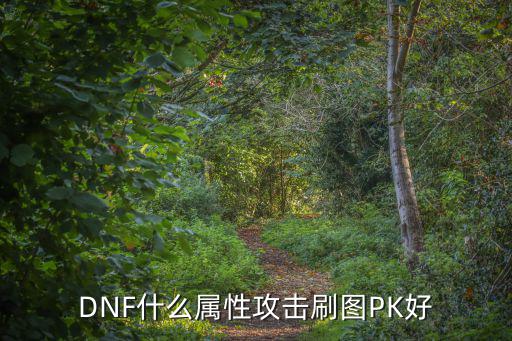 dnf 什么属性刷图好，DNF什么属性攻击刷图PK好