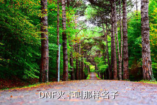 DNF火属性卡叫什么，dnf火属性强化6卡叫什么