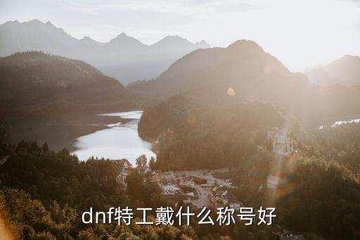 dnf特工选什么属性好，DNF流浪武士武器付什么属性好