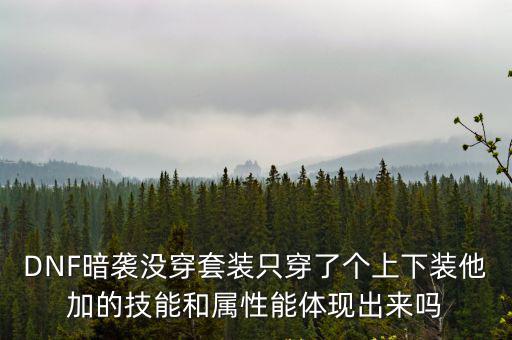 DNF暗袭没穿套装只穿了个上下装他加的技能和属性能体现出来吗