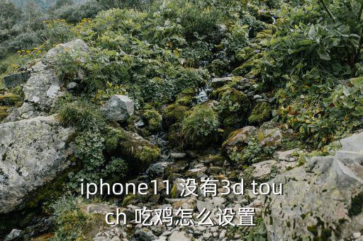 苹果11游戏装备怎么设置，iphone11 没有3d touch 吃鸡怎么设置
