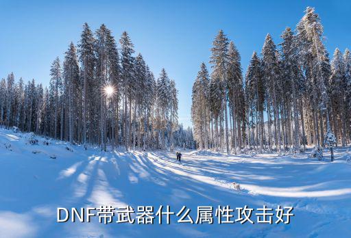 dnf遴选武器要什么属性，DNF魔道学者武器选什么属性好