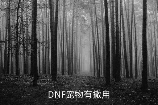 DNF宠物有撒用