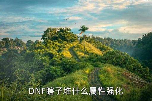 dnf瞎子宝珠选什么属性，DNF瞎子堆什么属性强化