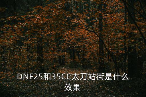 DNF25和35CC太刀站街是什么效果