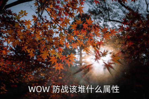 dnf魔兽副本吃什么属性，WOW 防战该堆什么属性