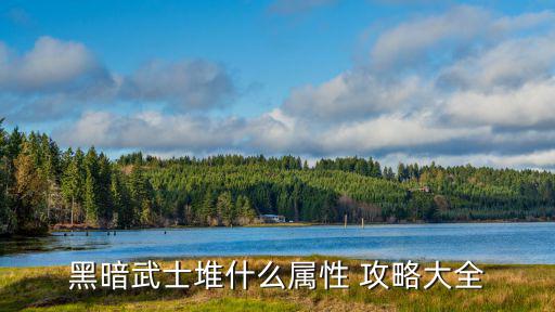 黑暗武士堆什么属性 攻略大全