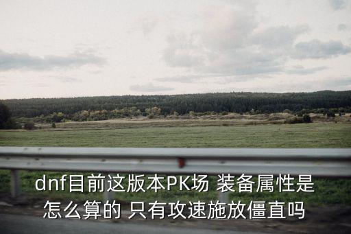 dnf目前这版本PK场 装备属性是怎么算的 只有攻速施放僵直吗