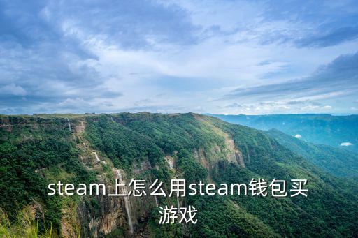 steam上怎么用steam钱包买游戏