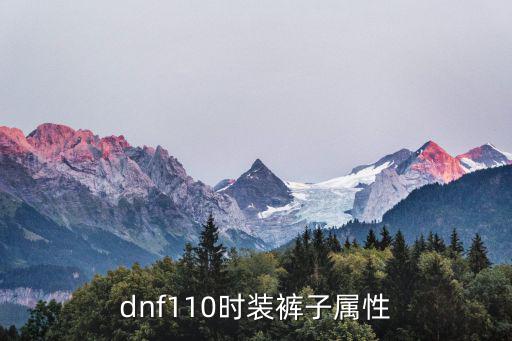 dnf110时装裤子属性