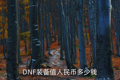 DNF装备值人民币多少钱