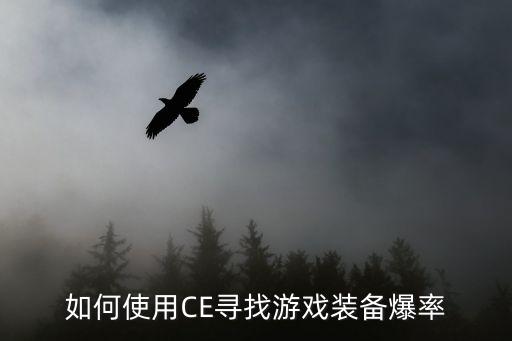 怎么查rpg游戏装备代码，知道了游戏的物品代码请问怎么用