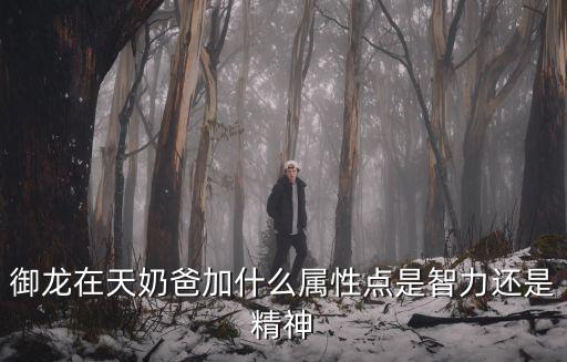 dnf奶爸弄什么属性，御龙在天奶爸加什么属性点是智力还是精神