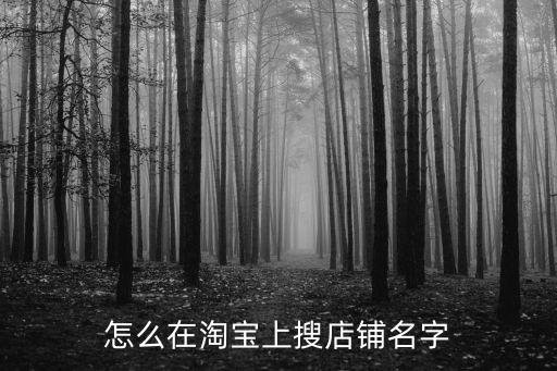 游戏装备淘宝怎么搜索店铺，怎么在淘宝上搜店铺名字