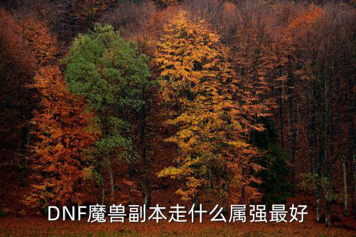 DNF魔兽需要什么属性，WOW武器战装备要加什么属性