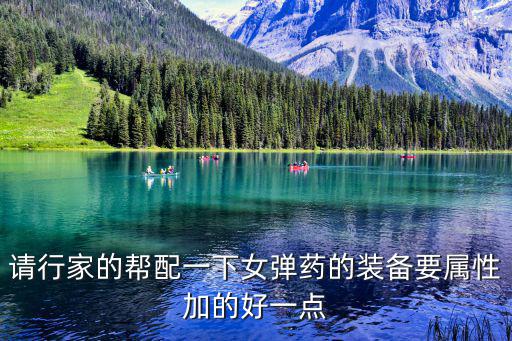 dnf女弹药要什么属性，请行家的帮配一下女弹药的装备要属性加的好一点
