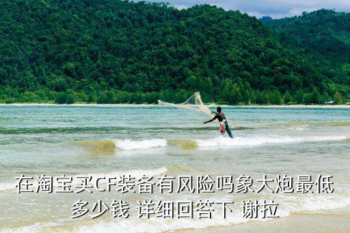 在淘宝买CF装备有风险吗象大炮最低多少钱 详细回答下 谢拉