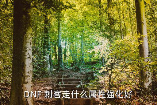 dnf 刺客弄什么属性强，dnf刺客有什么属性好