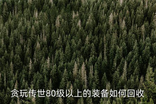 游戏装备多少级能回收，梦幻西游几级之后卖给装备回收人的是现金 不是储备金