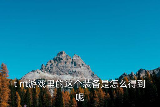 t nt游戏里的这个装备是怎么得到呢