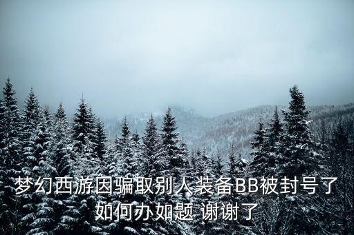 梦幻西游因骗取别人装备BB被封号了如何办如题 谢谢了