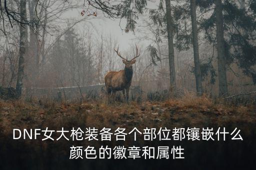 dnf彩色徽章要什么属性，dnf漫游镶嵌徽章加什么属性