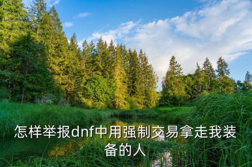 怎样举报dnf中用强制交易拿走我装备的人