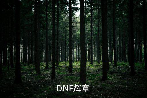 DNF辉章