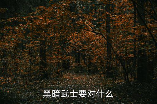 黑暗武士要对什么