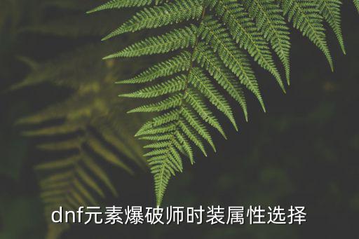 dnf元素爆破师什么属性，DNF元素师是什么属性的