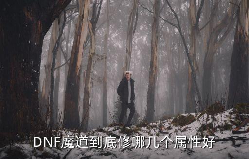 dnf魔道打什么属性好，DNF魔道修什么属性好呢