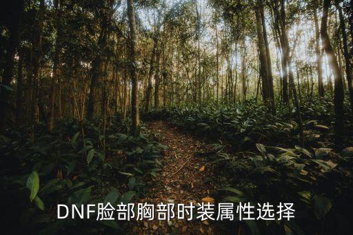 dnf 皮肤脸选什么属性，dnf狂战皮肤什么颜色好看选什么属性