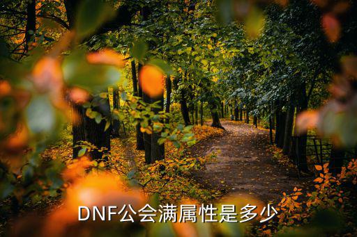 DNF公会满属性是多少