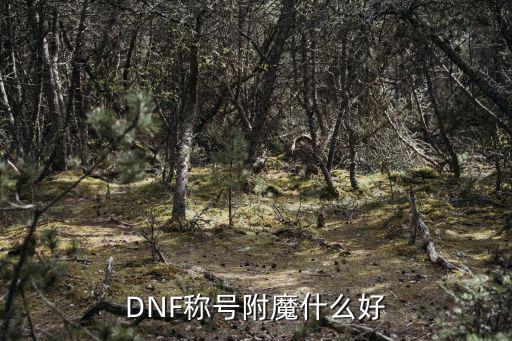 dnf称号宝珠属性什么好，DNF称号附魔什么好