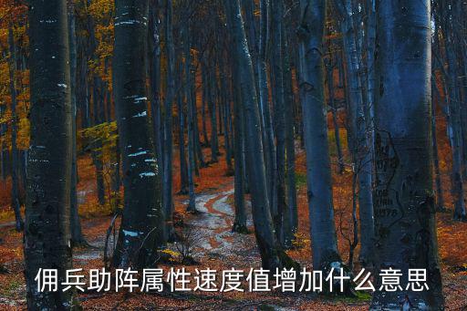 dnf战线佣兵什么属性的，DNF佣兵是怎么回事