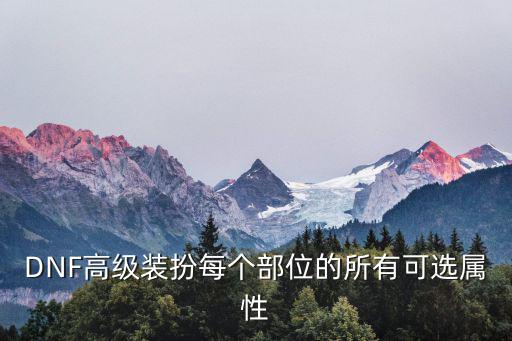 dnf乌鸡装扮要什么属性，DNF高级装扮每个部位的所有可选属性