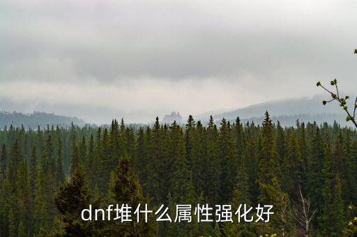 dnf堆什么属性强化好