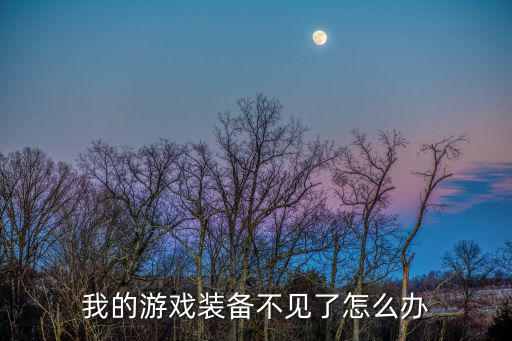 我的游戏装备不见了怎么办
