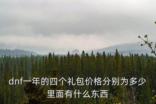 dnf一年的四个礼包价格分别为多少里面有什么东西