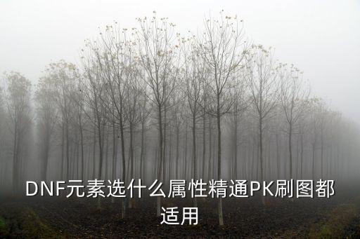 DNF元素选什么属性精通PK刷图都适用