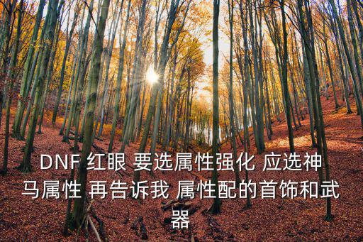 DNF 红眼 要选属性强化 应选神马属性 再告诉我 属性配的首饰和武器