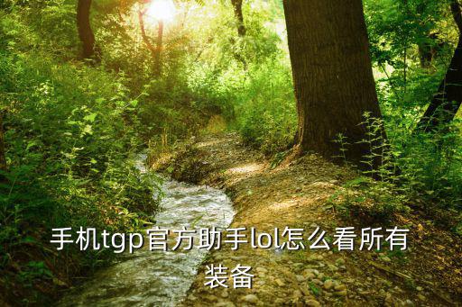 手机tgp官方助手lol怎么看所有装备