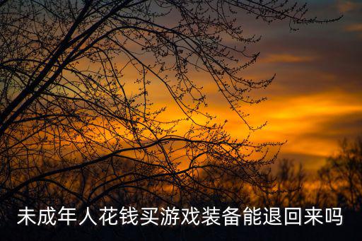 未成年人花钱买游戏装备能退回来吗
