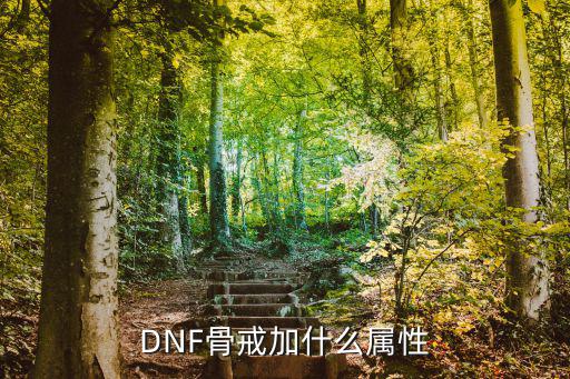 dnf戒指强化加什么属性，DNF强者霸气戒指加的是什么属性啊还有奇他的霸气加的是什么