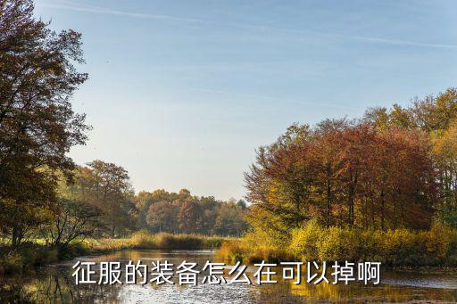征服的装备怎么在可以掉啊