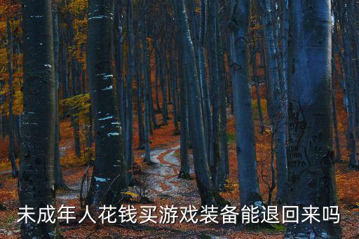 淘宝买游戏装备怎么退款，淘宝买游戏cdk能退款吗