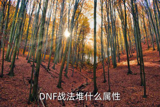 dnf战法什么属性攻击好，DNF战法堆什么属性