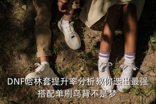DNF哈林套提升率分析教你选出最强搭配单刷鸟背不是梦